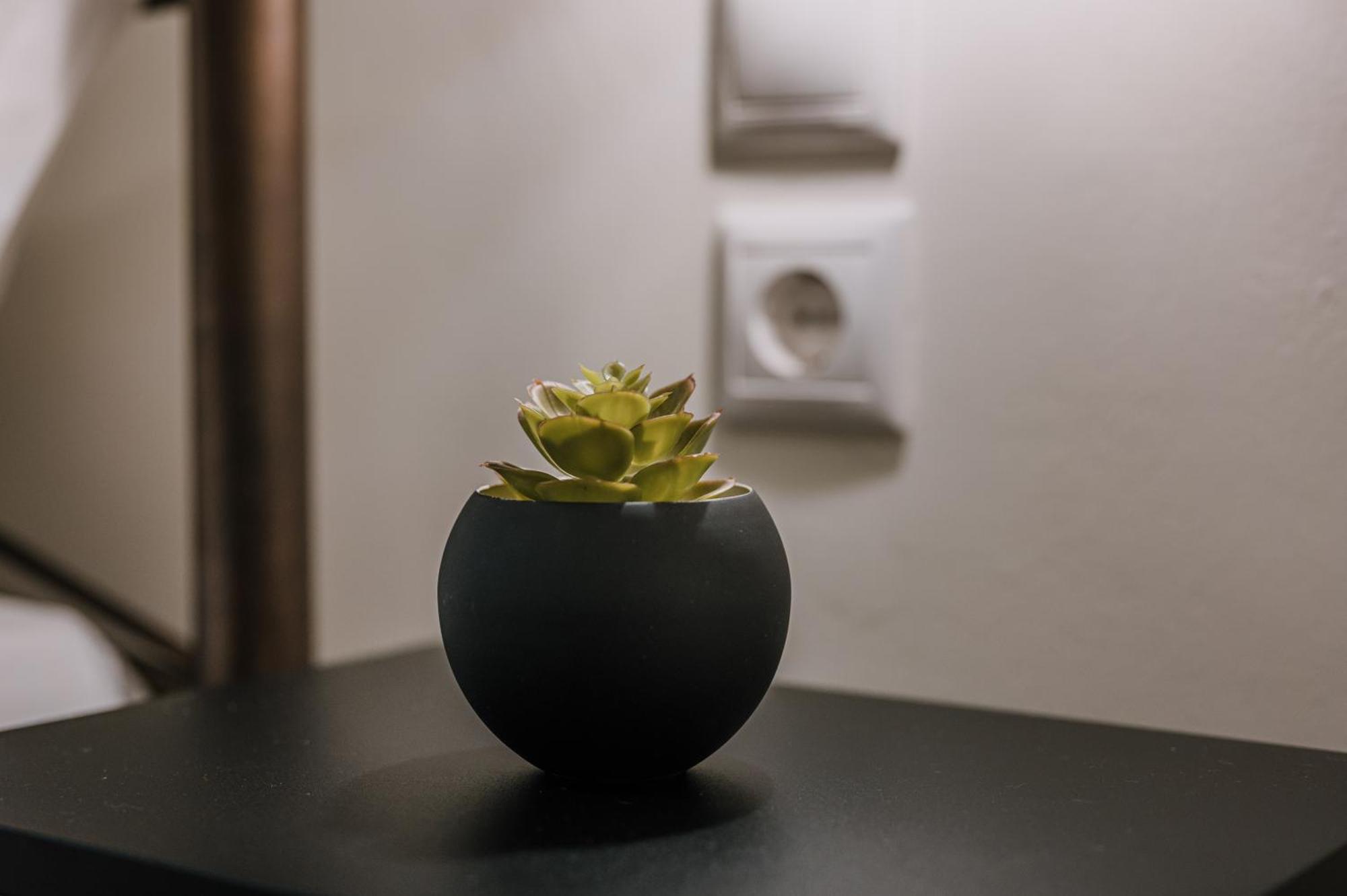 טולון Hb Modern Apartments חדר תמונה
